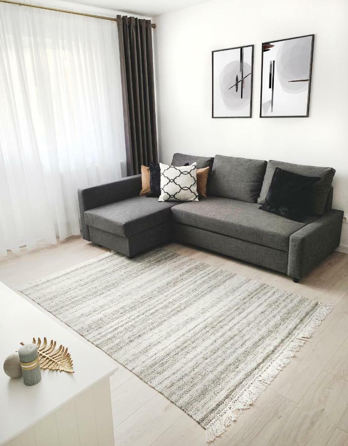 Mhc Quiet Deluxe Suite Near Downtown - Free Parking Брашов Екстер'єр фото