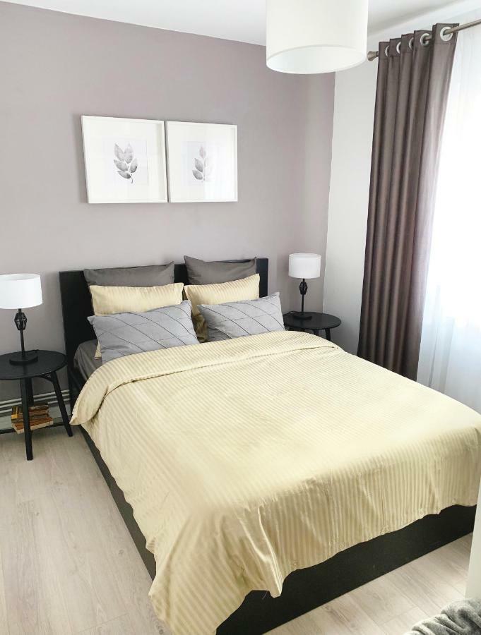 Mhc Quiet Deluxe Suite Near Downtown - Free Parking Брашов Екстер'єр фото