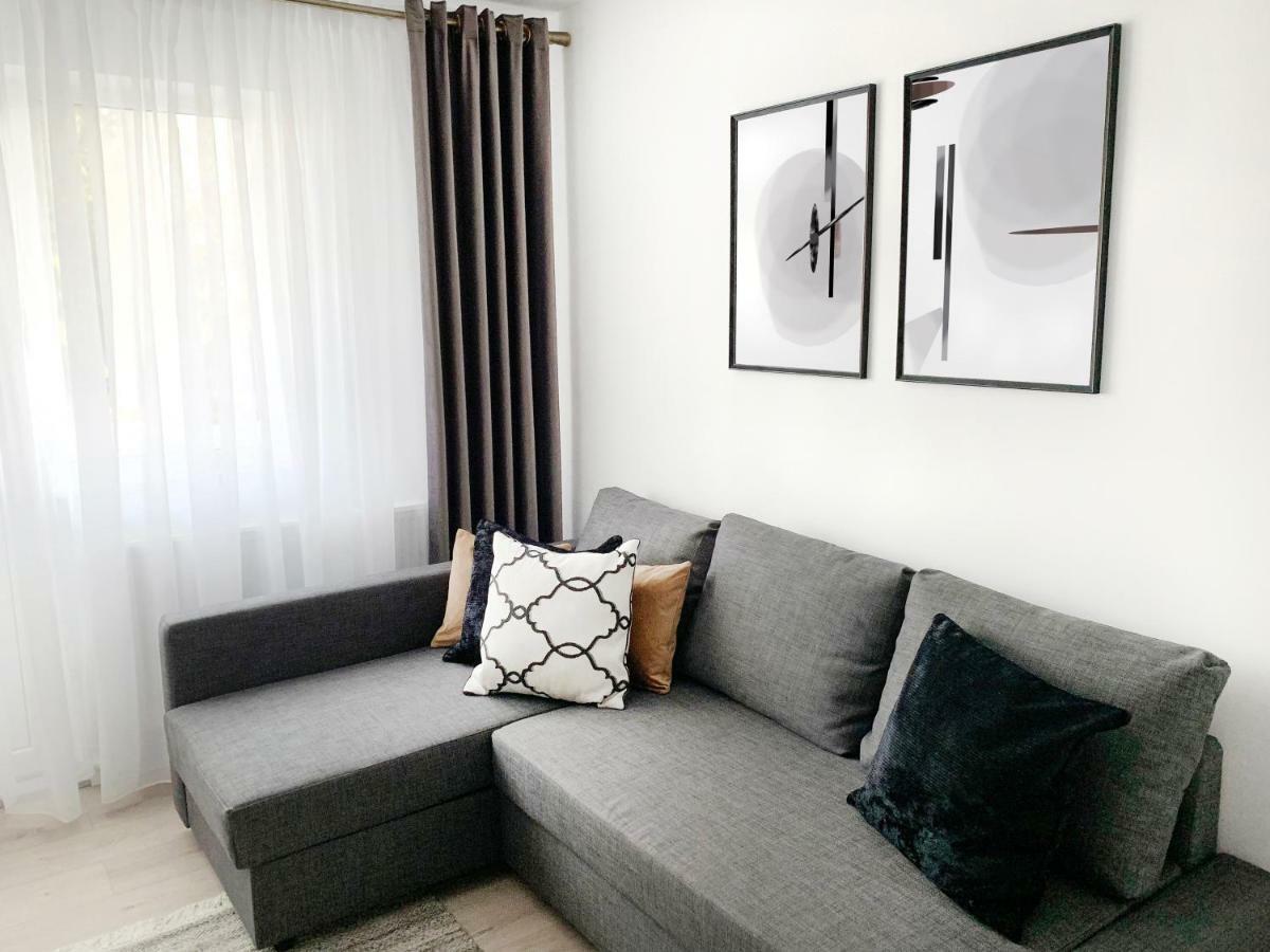 Mhc Quiet Deluxe Suite Near Downtown - Free Parking Брашов Екстер'єр фото